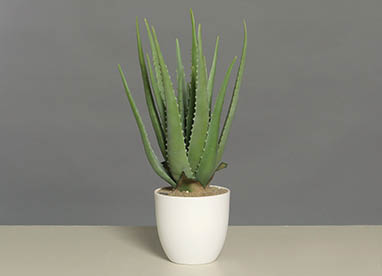 Wohnaccessoires Kunstfloristik 