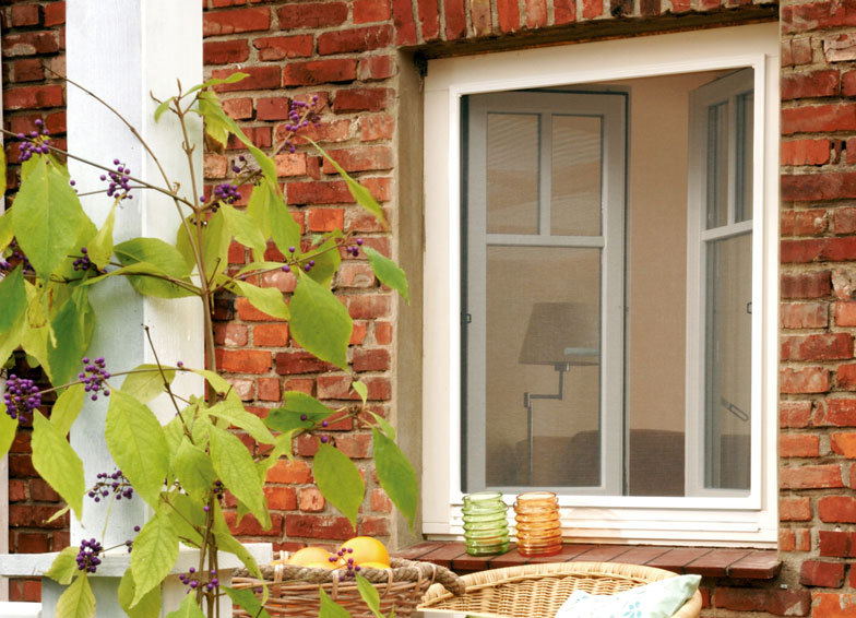 Hammer News Insektenschutz für Fenster