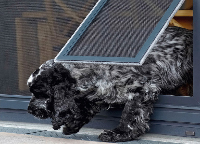 Hammer News Haustierklappe