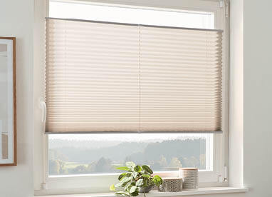 Plissee am Fenster in Beige